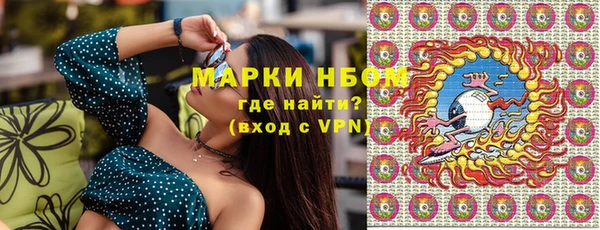 стаф Кодинск
