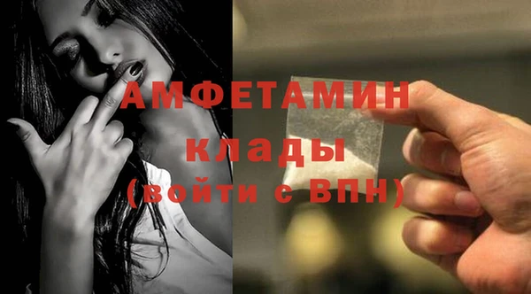 стаф Кодинск