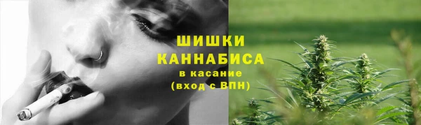 стаф Кодинск