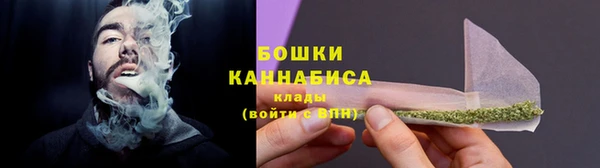 стаф Кодинск