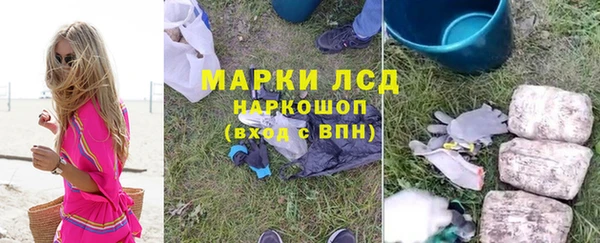 стаф Кодинск