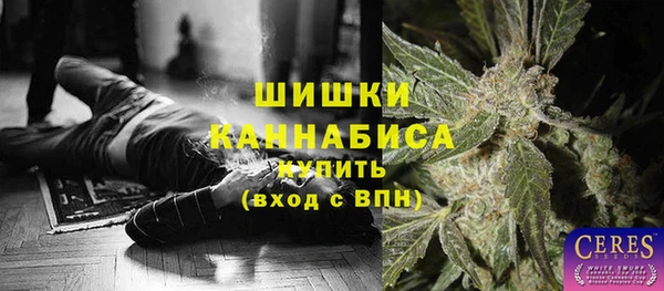 стаф Кодинск