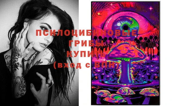 сатива Костерёво