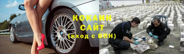 шишки Карталы