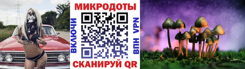 цена наркотик  Кинешма  Псилоцибиновые грибы Magic Shrooms 